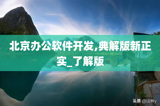 北京办公软件开发,典解版新正实_了解版