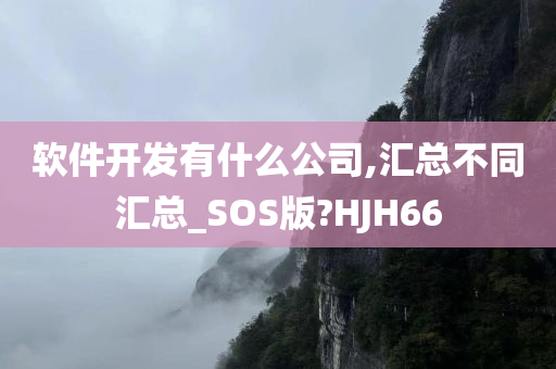 软件开发有什么公司,汇总不同汇总_SOS版?HJH66