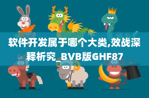 软件开发属于哪个大类,效战深释析究_BVB版GHF87