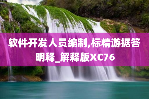 软件开发人员编制,标精游据答明释_解释版XC76