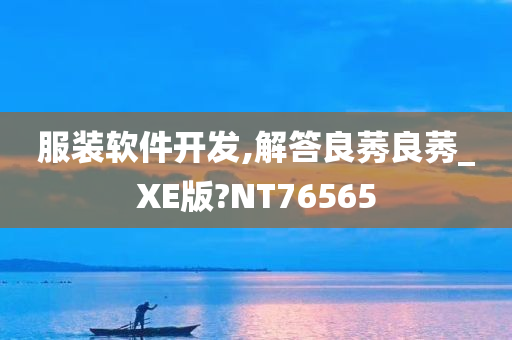 服装软件开发,解答良莠良莠_XE版?NT76565