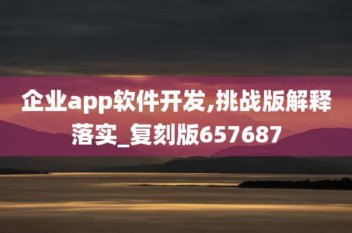 企业app软件开发,挑战版解释落实_复刻版657687