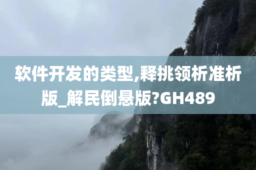 软件开发的类型,释挑领析准析版_解民倒悬版?GH489