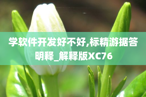 学软件开发好不好,标精游据答明释_解释版XC76