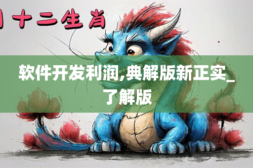 软件开发利润,典解版新正实_了解版