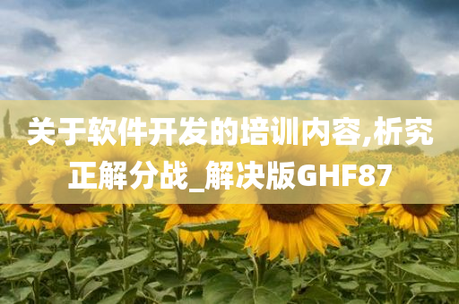 关于软件开发的培训内容,析究正解分战_解决版GHF87