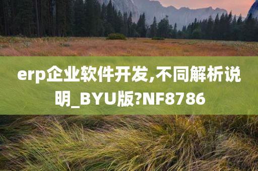 erp企业软件开发,不同解析说明_BYU版?NF8786