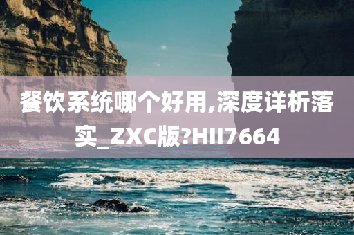 餐饮系统哪个好用,深度详析落实_ZXC版?HII7664