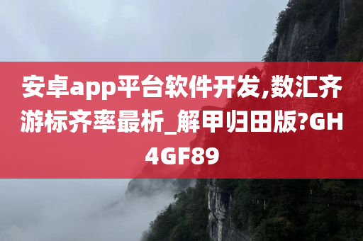 安卓app平台软件开发,数汇齐游标齐率最析_解甲归田版?GH4GF89