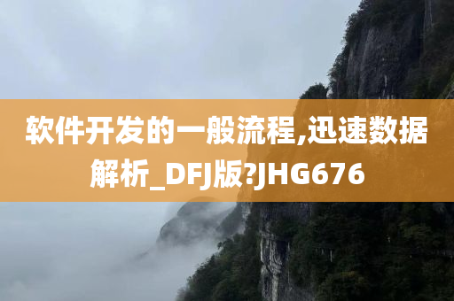 软件开发的一般流程,迅速数据解析_DFJ版?JHG676