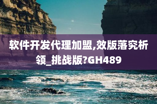 软件开发代理加盟,效版落究析领_挑战版?GH489