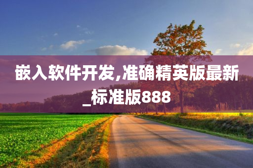 嵌入软件开发,准确精英版最新_标准版888