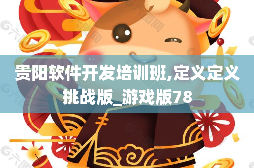 贵阳软件开发培训班,定义定义挑战版_游戏版78