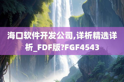 海口软件开发公司,详析精选详析_FDF版?FGF4543