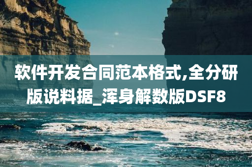 软件开发合同范本格式,全分研版说料据_浑身解数版DSF8