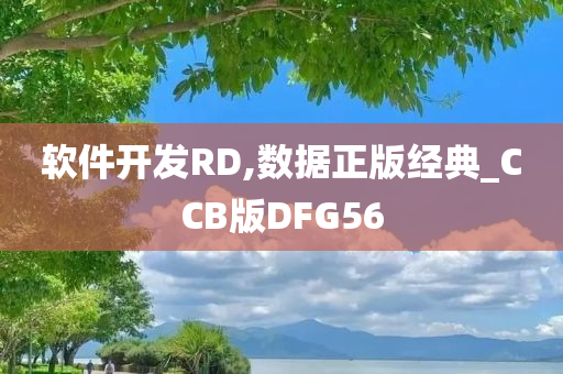 软件开发RD,数据正版经典_CCB版DFG56