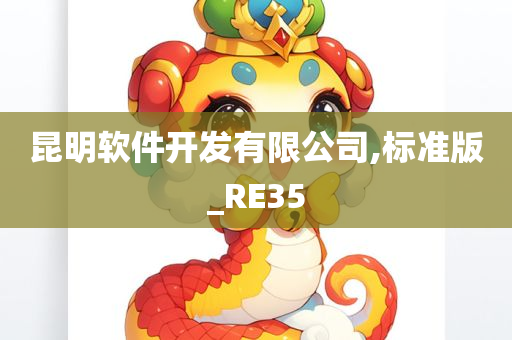 昆明软件开发有限公司,标准版_RE35