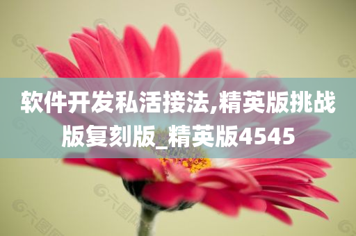 软件开发私活接法,精英版挑战版复刻版_精英版4545