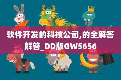 软件开发的科技公司,的全解答解答_DD版GW5656