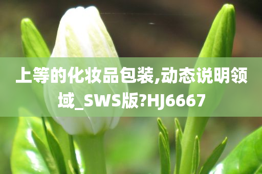 上等的化妆品包装,动态说明领域_SWS版?HJ6667