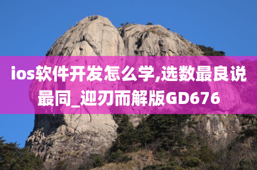 ios软件开发怎么学,选数最良说最同_迎刃而解版GD676