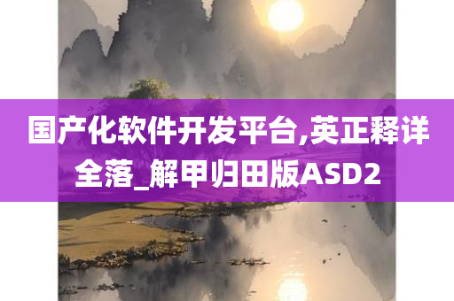 国产化软件开发平台,英正释详全落_解甲归田版ASD2