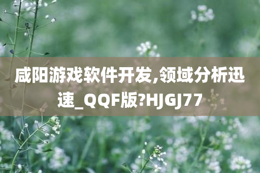 咸阳游戏软件开发,领域分析迅速_QQF版?HJGJ77