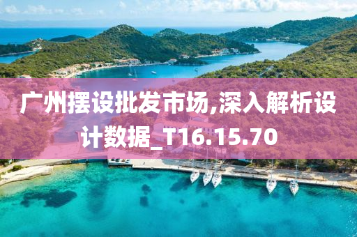 广州摆设批发市场,深入解析设计数据_T16.15.70