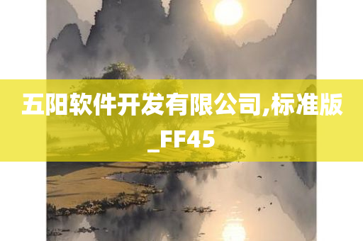 五阳软件开发有限公司,标准版_FF45