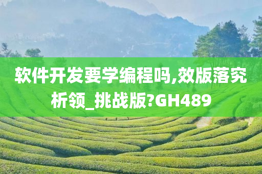 软件开发要学编程吗,效版落究析领_挑战版?GH489