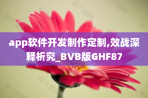 app软件开发制作定制,效战深释析究_BVB版GHF87