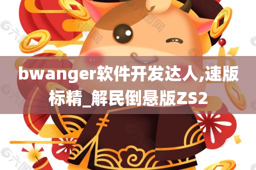 bwanger软件开发达人,速版标精_解民倒悬版ZS2