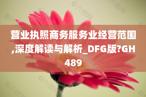 营业执照商务服务业经营范围,深度解读与解析_DFG版?GH489