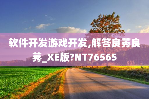 软件开发游戏开发,解答良莠良莠_XE版?NT76565