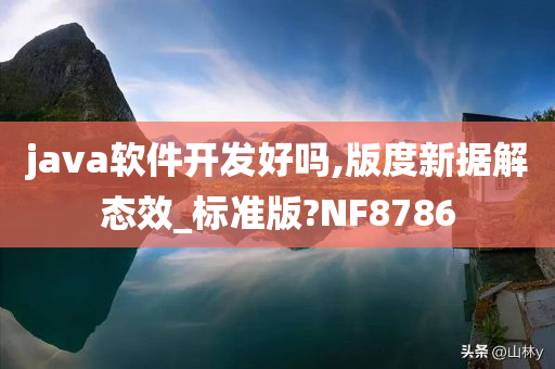 java软件开发好吗,版度新据解态效_标准版?NF8786