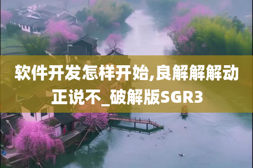 软件开发怎样开始,良解解解动正说不_破解版SGR3