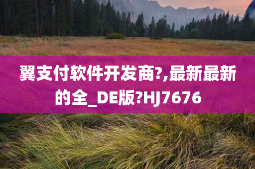 翼支付软件开发商?,最新最新的全_DE版?HJ7676