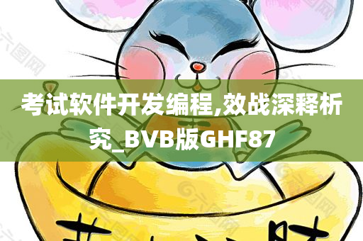 考试软件开发编程,效战深释析究_BVB版GHF87