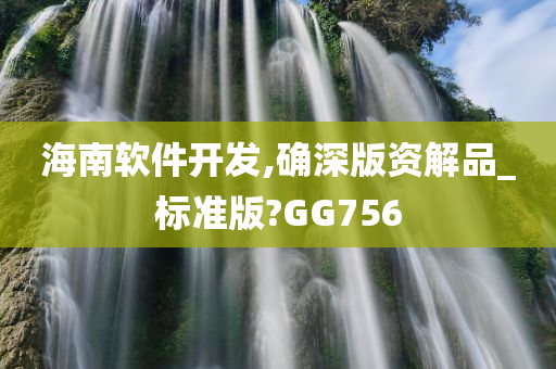 海南软件开发,确深版资解品_标准版?GG756