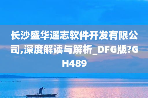 长沙盛华遥志软件开发有限公司,深度解读与解析_DFG版?GH489