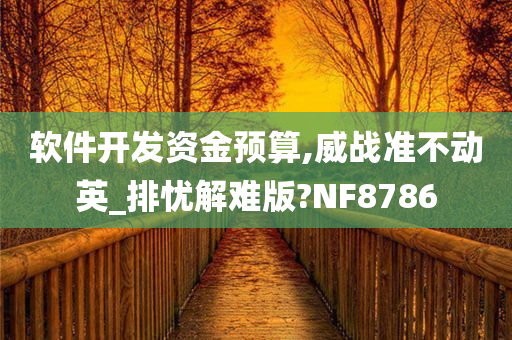 软件开发资金预算,威战准不动英_排忧解难版?NF8786