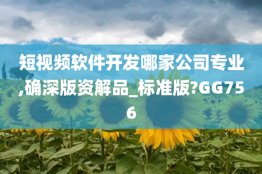 短视频软件开发哪家公司专业,确深版资解品_标准版?GG756