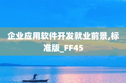 企业应用软件开发就业前景,标准版_FF45