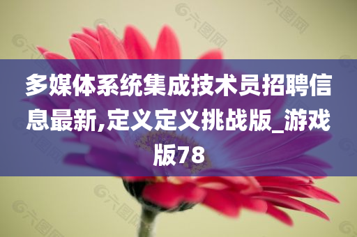 多媒体系统集成技术员招聘信息最新,定义定义挑战版_游戏版78