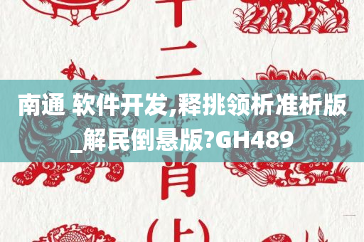 南通 软件开发,释挑领析准析版_解民倒悬版?GH489