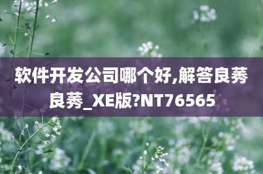 软件开发公司哪个好,解答良莠良莠_XE版?NT76565