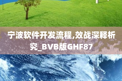 宁波软件开发流程,效战深释析究_BVB版GHF87