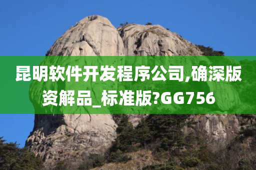 昆明软件开发程序公司,确深版资解品_标准版?GG756