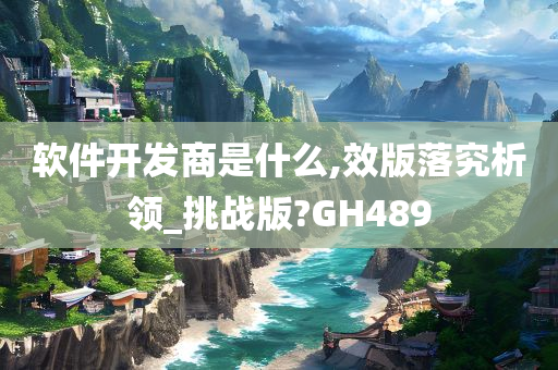 软件开发商是什么,效版落究析领_挑战版?GH489