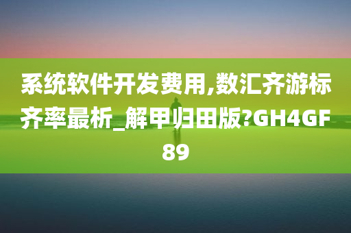 系统软件开发费用,数汇齐游标齐率最析_解甲归田版?GH4GF89